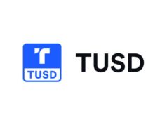 Art Market Disruption through TUSD Tokenization