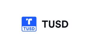 Art Market Disruption through TUSD Tokenization