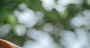 Turning Lemons into Lemonade: The Financial Fixer-Upper’s Guide