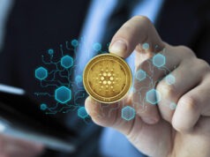 The Rise of Cryptocurrency in the Online Gambling Industry