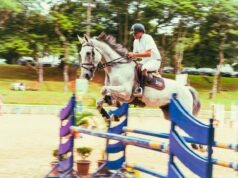 Is It A Safe Investment Right Now To Invest In A Race Horse?