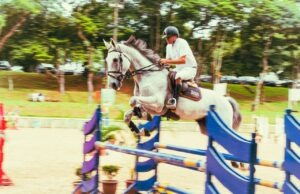 Is It A Safe Investment Right Now To Invest In A Race Horse?